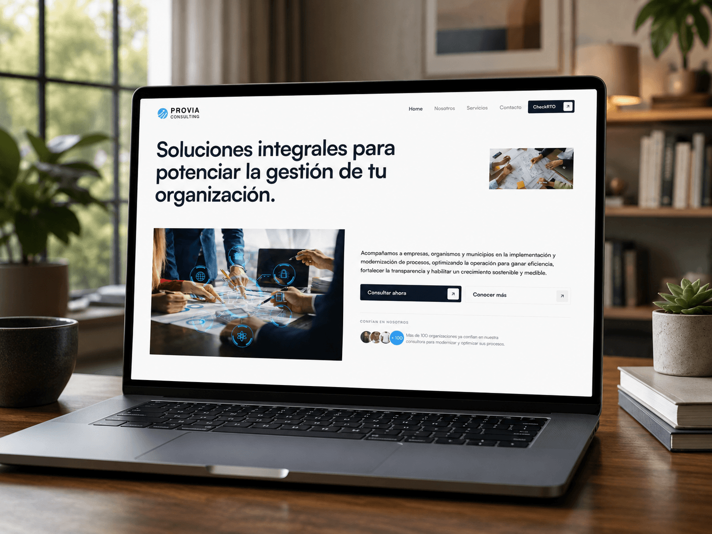 Provia Consulting — Web Development, UX/UI Design